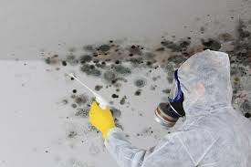 Best Mold Removal for HVAC Installations  in USA